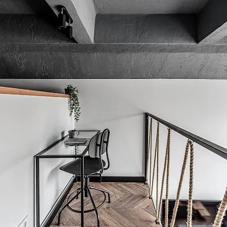 Modern Urban Loft 维尔纽斯