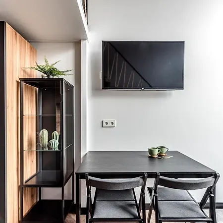 Modern Urban Loft Vilnius