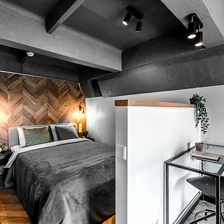 Modern Urban Loft Vilnius