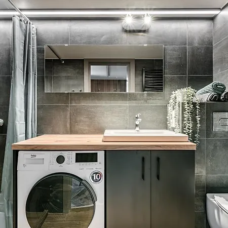 Modern Urban Loft Vilnius