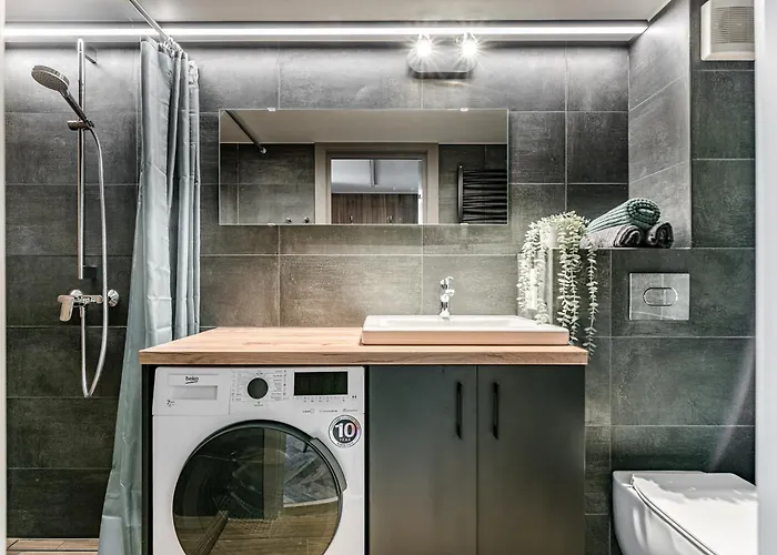 Modern Urban Loft ヴィリニュス