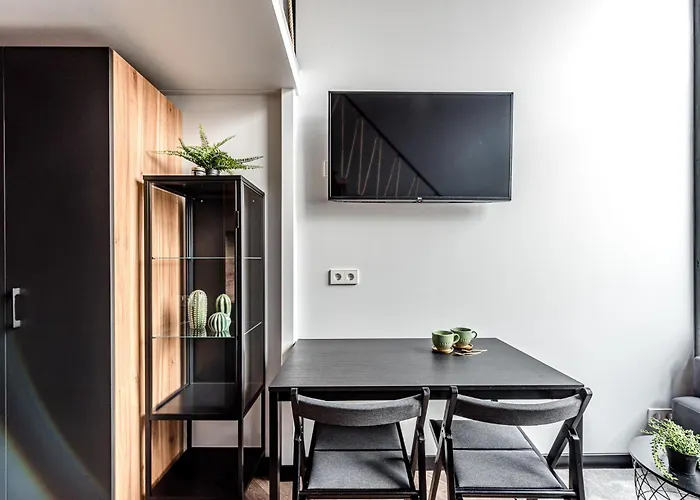 Modern Urban Loft Vilnius