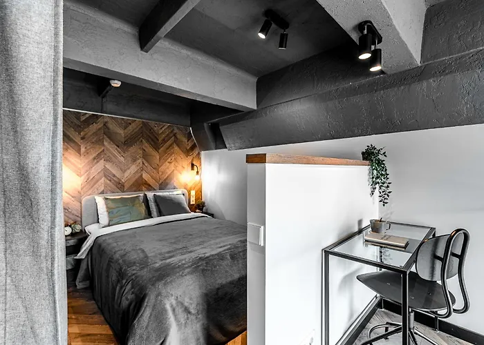 Modern Urban Loft Vilnius